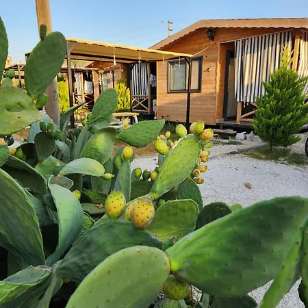 Sea Garden Apart Lägenhetshotell Demre